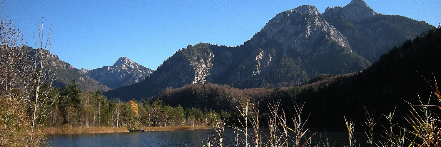 Anbieter und Angebote aus dem Regierungsbezirk Oberfranken